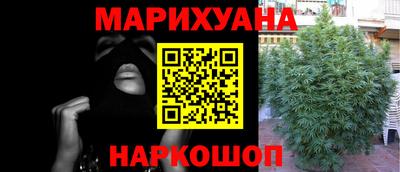 прущие крисы Усть-Илимск
